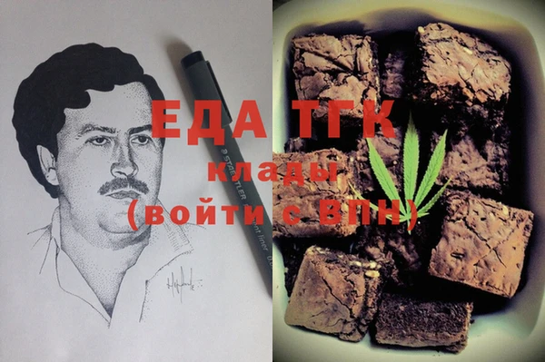 дмт Ельня