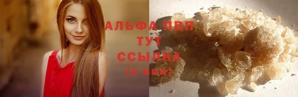 амф Дмитров