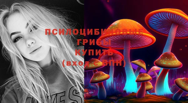 спайс Дмитриев