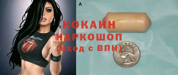 мдпв Инсар