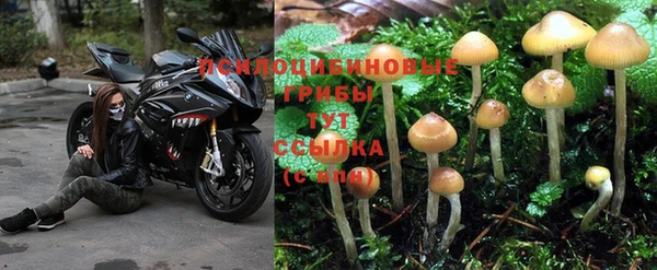 спайс Дмитриев