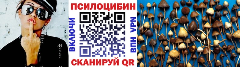 Купить закладки  Емва  Псилоцибиновые грибы прущие грибы 